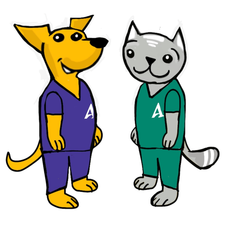 preventive-care-plan preventive-care-plan