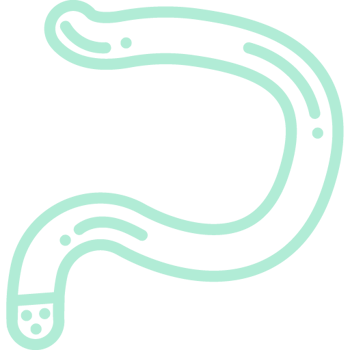 10-antech-parasite-256x256@2x-1 10-antech-parasite-256x256@2x-1