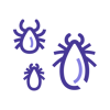 Antech_icon_vector-borne_positive_rgb-1