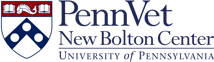 pv-new-bolton-logo-2020-web